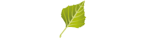 Hotel Drei Birken